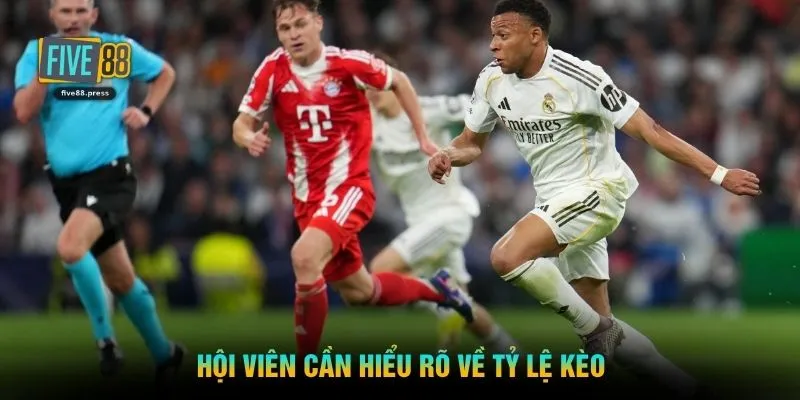 Hội viên cần hiểu rõ về tỷ lệ kèo